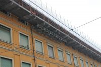 IMG_0661